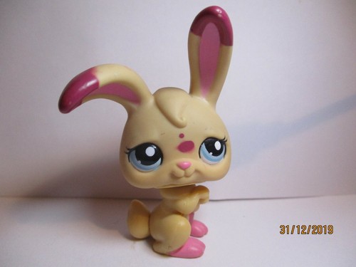 Petshop lapin garenne - petshop,