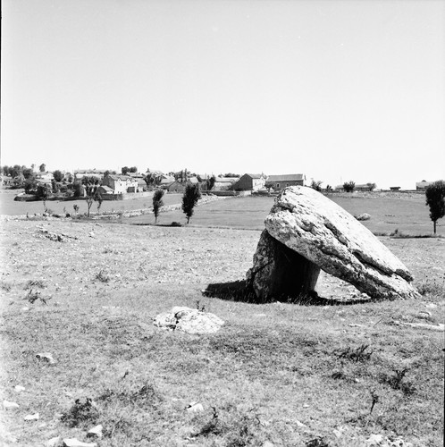 Causse méjan 1960 dolmen - -,
