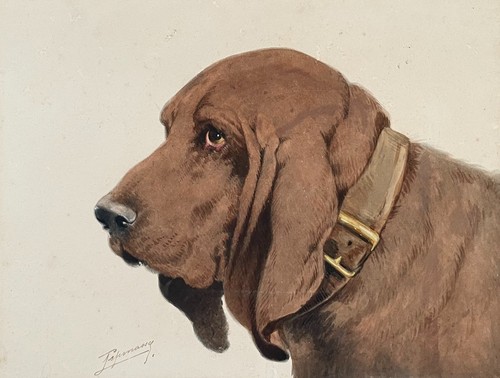 Chien chasse aquarelle - chien, de