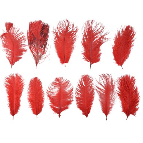 Pcs naturel plumes - pcs,