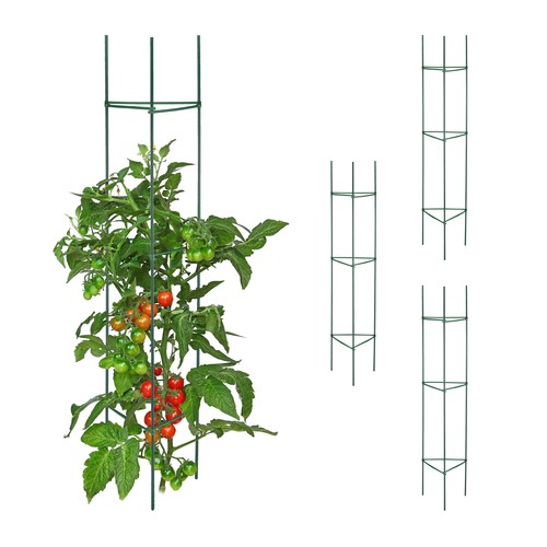 Support plantes grimpantes