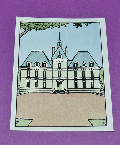 Panini tintin herge - panini,