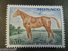 MONACO 1970, timbre 833, CHEVAL DE SELLE FRANCAIS, neuf**, VF MNH STAMP, HORSE