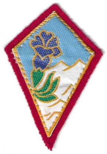 Insigne tissu patch militaire - tissu,,
