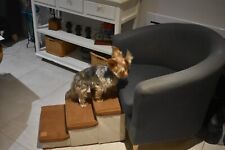 Escalier pliable à 3 marches