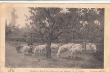 BOIS-D'ARCY moutons tableau de Th. E. Olivier berger chien de berger