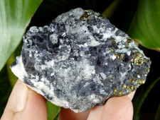 Galène & Chalcopyrite sur Quartz Madan 6x4.5cm Bulgarie minéral collection reiki