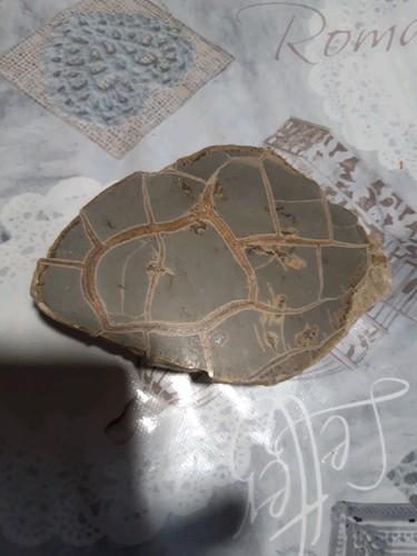 Septaria