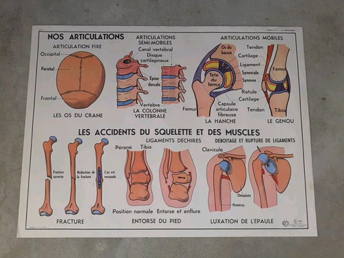 Affiche scolaire mdi 4 le - n°3-4,