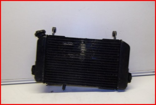 Suzuki svs 650 1999 - svs, 1999-2002