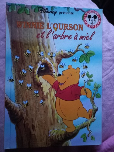 Livre disney winnie ourson - disney,