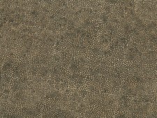 NOCH Place Structurée pavée