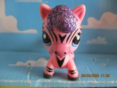 Petshop trotteur zebre - trotteur,