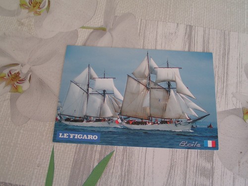 Goélette etoile france - goélette,