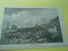 Gravure 1873 - La Pêche aux canards 