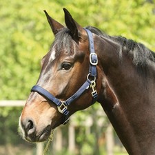 Eldorado Nylon Licol Lea -