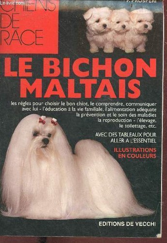 Bichon maltais les - -,