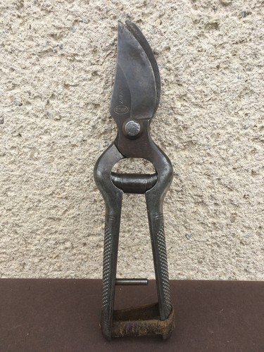 Ancien sécateur outils - sécateur, /