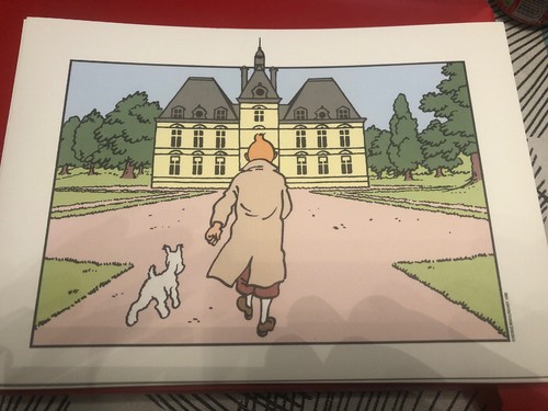 Libris tintin milou chateau - milou,