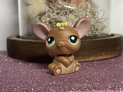 Petshop rat 898 - , 898🌸