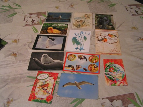 Cartes oiseaux chouca - 11,