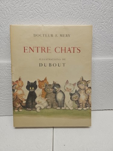 Mery entre chats - entre,