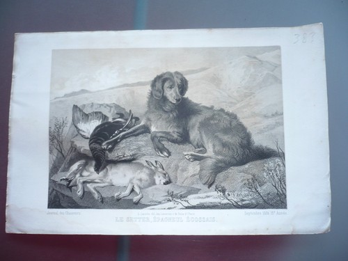 Engraving hunting hundred - hunting,