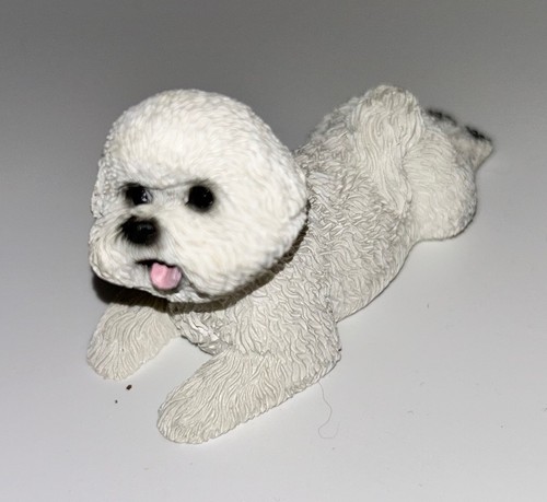 Small lying bichon - lying,