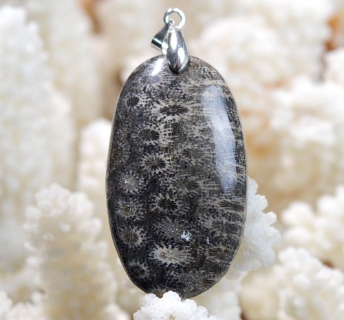 Corail fossile carats - 43,