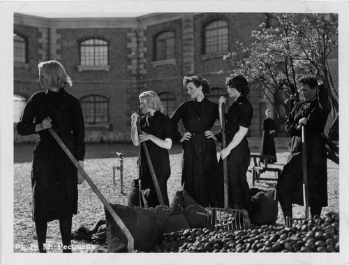 Lot photos originales - lot, prison