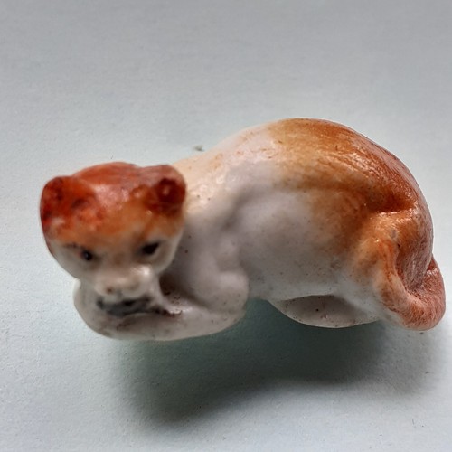 Rare chat avec - souris, fève