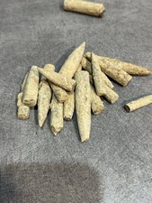 Lot fossiles rostres - fossiles,