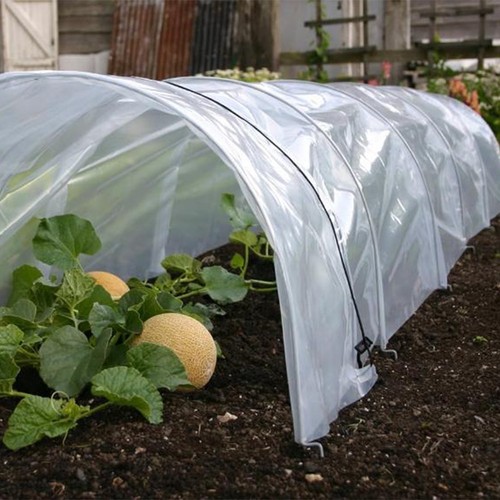 Cloche jardin processus - cloche, de