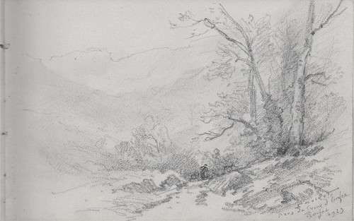 Noirot roanne dessin près - près, du