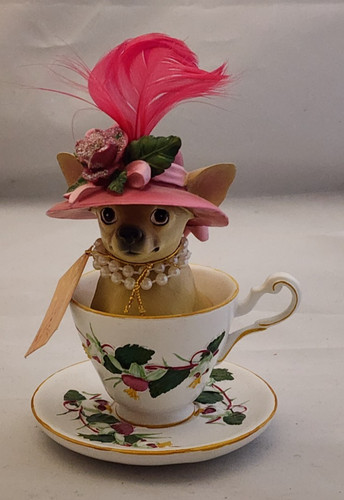 Aye chihuahua teacup westland - aye,