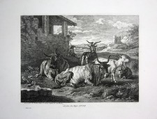 Environ 1800 Bétail Troupeau