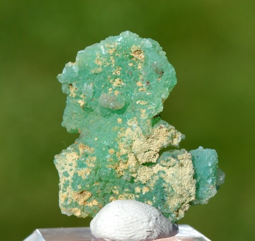 Chrysoprase grammes - chrysoprase,