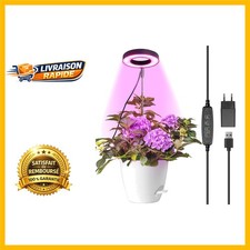 Lampe de Culture à Spectre