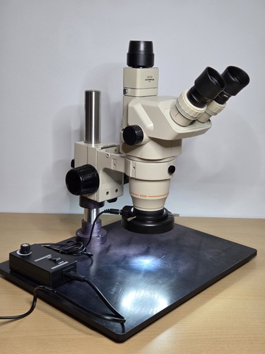 Microscope stéréo