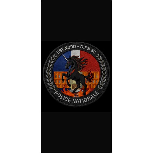 Ecussons police nationale dipn - police,