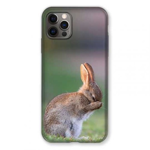 Coque renforcée pour iphone - pour,