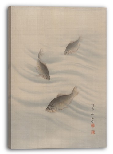Toile cadres seki - seki, shkkm