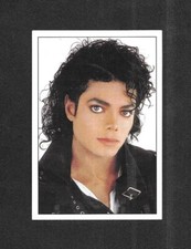 RARE / AUTOCOLLANT PANINI -