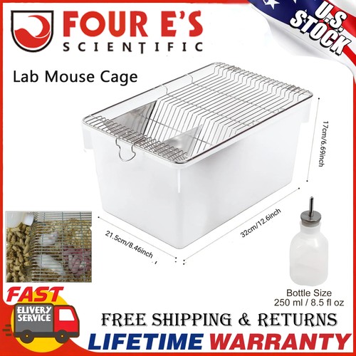 Lab mouse cage animal - lab,