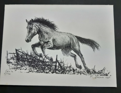 Lithographie cheval signe - lithographie,