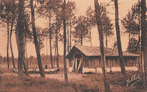 Dans les landes gascogne - de,