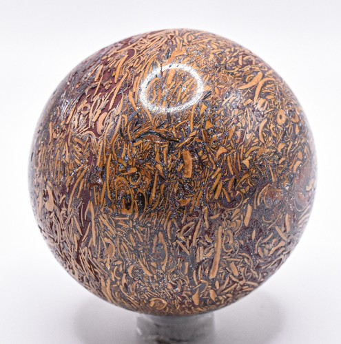 240g mariam fossil - 240g,
