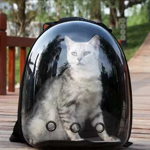 Sac dos transport chat - à, de