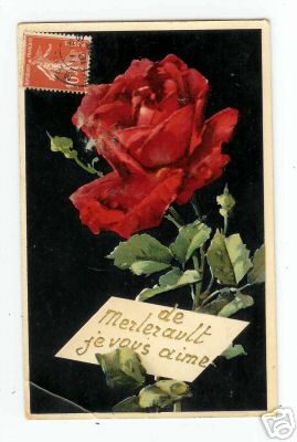 Merlerault une rose - merlerault,