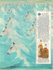 Publicité white horse scotch - white,